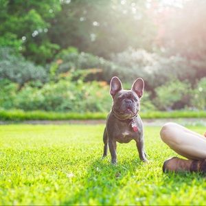 Meet your Posher, Dana